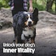 image 10 of 10 x 70g Tails.com Inner Vitality Cold Pressed Rewards Dog Treats Turkey