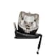 image 1 of Cosatto All in All Ultra iSize Car Seat - 360 Rotate Spin All Stage 0-36kg/0-12 Years (Whisper)