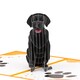 image 3 of Loyal & Loved Labrador 3D Dog Pop Up Greeting Card