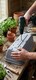 image 9 of Grey Trough Bell Plant Pot 50cm Plastic Bell Planter Patio