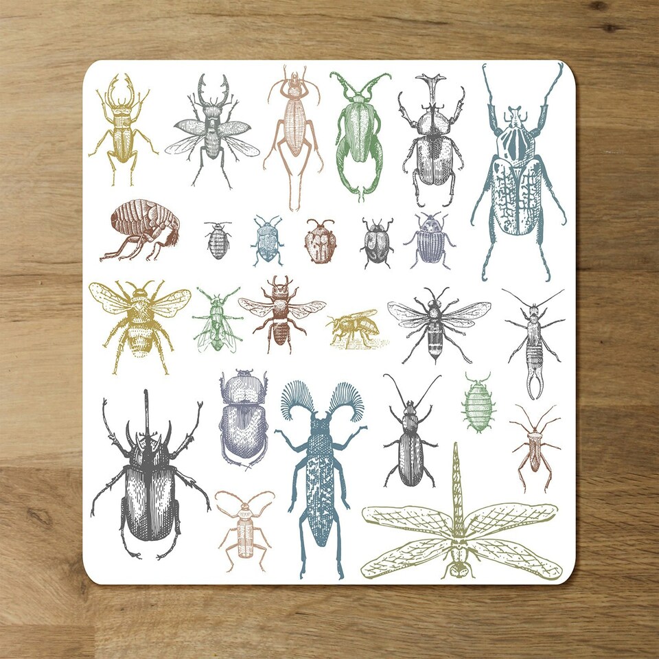 image 1 of big set of insects bugs beetles and bees many species in vintage old hand drawn style (Placemat & Coaster Set)