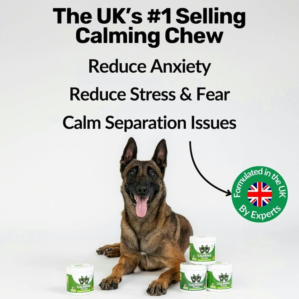 image 1 of Calming Treats