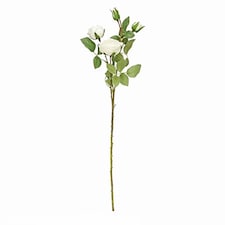 Ivory Peony Rose Spray Decoration 63cm