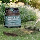 image 6 of Westland Lawn & Turf Dressing - 25L