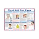 image 1 of Pegdev Eye First Aid Laminated Health & Safety Poster A2 Landscape Durable Sign