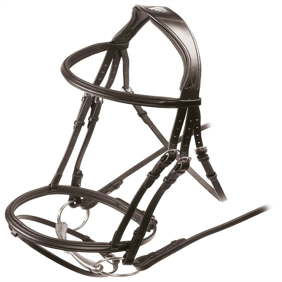 image 1 of Shires Velociti Padded Raised Flash Bridle Brown | Size: X-Full
Colour: H.Brown