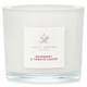 image 1 of Scented Candle - Raspberry & Tomato Leaves - 180g/6.34oz N/A