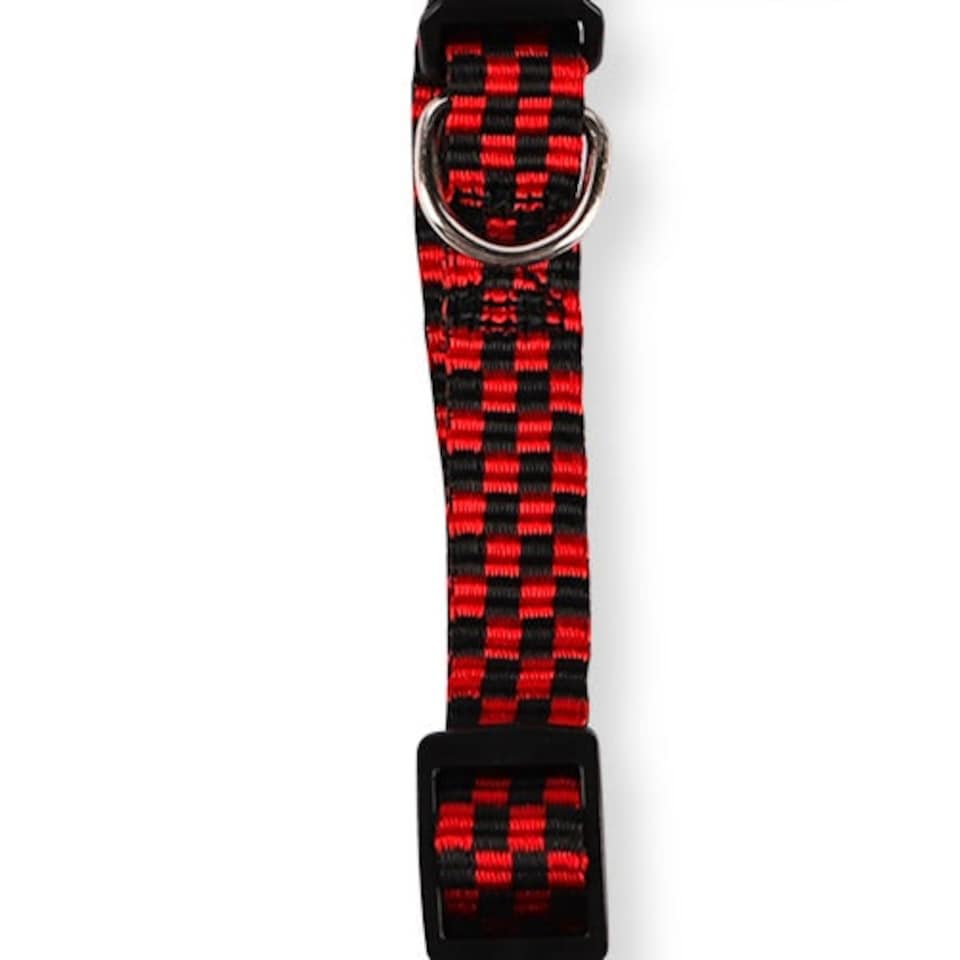 image 1 of Pet Touch Fabric Reflective Square Dog Collar 1.5cm x 25-40cm Multi | M