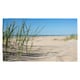 image 4 of Grass in the sand dunes with the lake in the background (Kitchen Towel)
