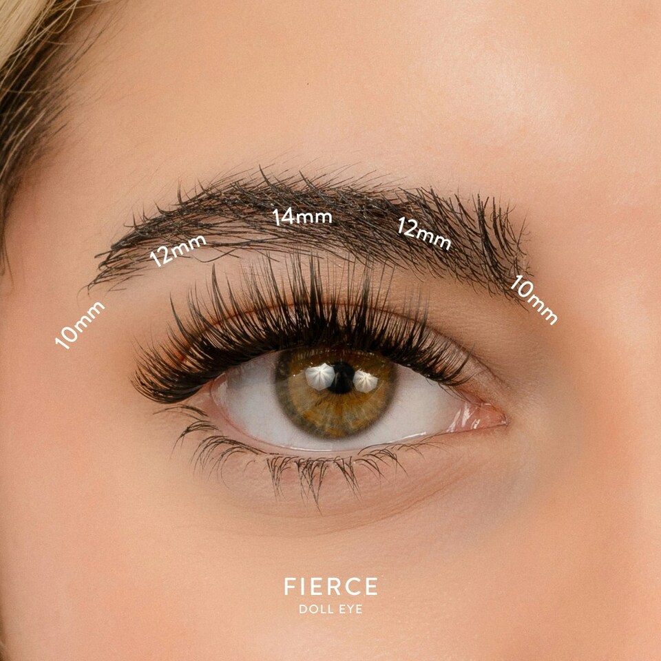 image 1 of House Of Amor - Eyelash Extensions - Fierce Length - Volume D Curl - Short