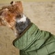 image 4 of Joules Small Khaki Quilted Dog Coat