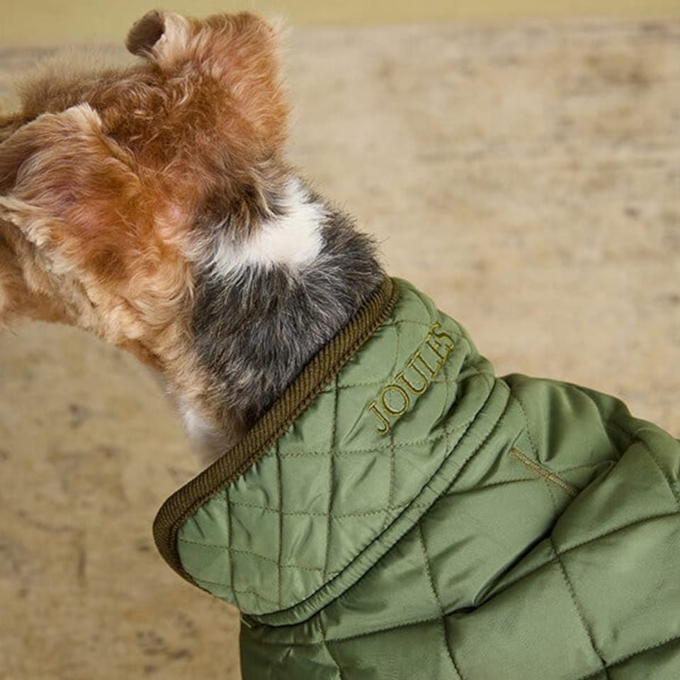 image 1 of Joules Small Khaki Quilted Dog Coat