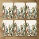 image 4 of Tropical Animals (Coaster)