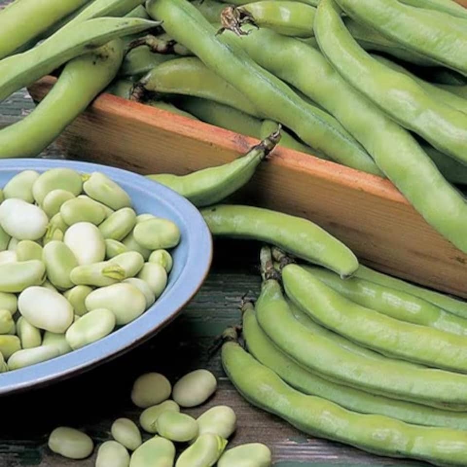 image 1 of Marshalls Garden Pea & Broad Bean Duo Pack (Aquadulce Claudia & Douce Provence) 2 packets