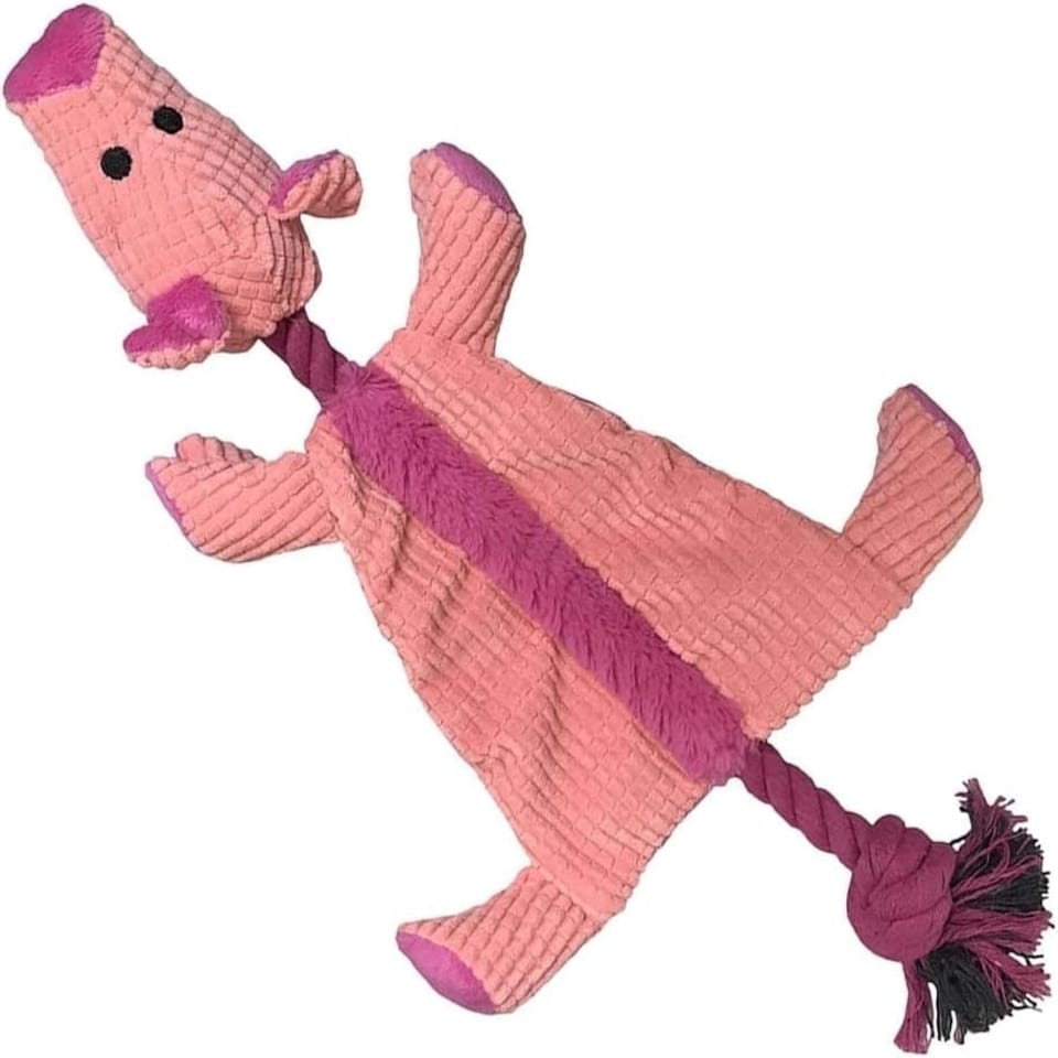 image 1 of Good Boy Raggy Crinkle Pig - clear