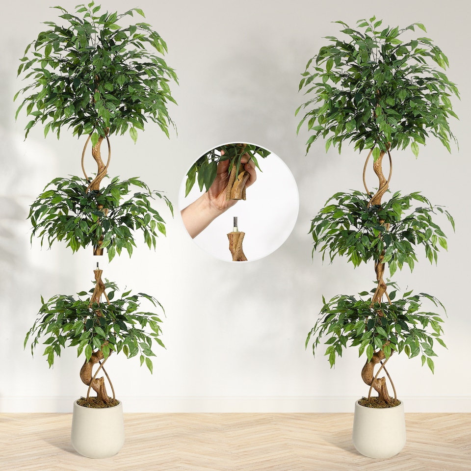 image 1 of London Boutique 180cm 6FT Artificial Ficus Tree Lifelike Faux Ficus Benjamina Plant Twisted Stem Weeping Fig