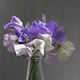 image 2 of Noel Sutton Sweet Pea Seeds - Classic Blue Fragrant Climbing Annual Cut Flower Cottage Garden by Thompson & Morgan