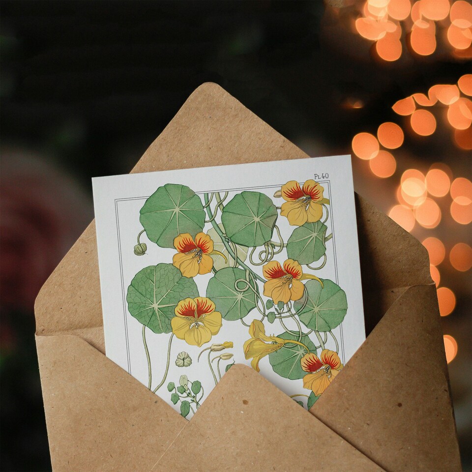 image 1 of Maurice Pillard Verneuil Art Card Nasturtium Flower