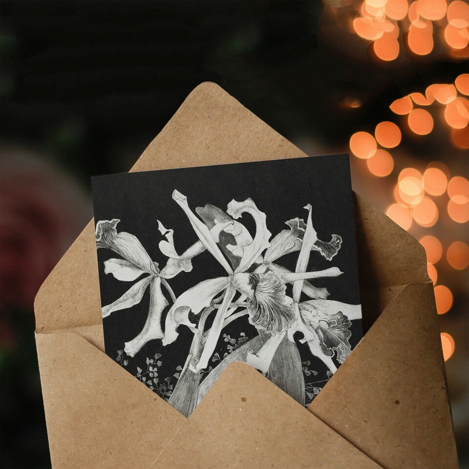 image 1 of Theo van Hoytema Art Card Orchids Black and White Floral