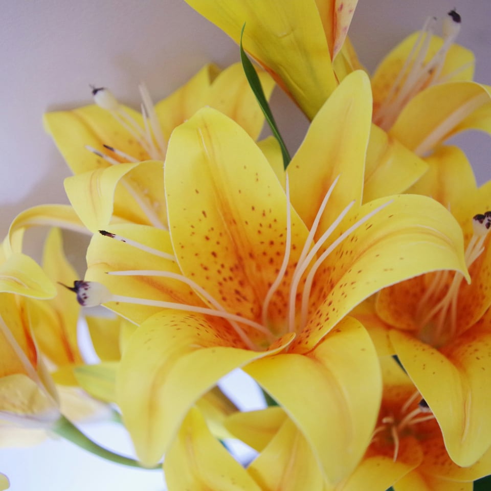 image 1 of 60cm Artificial Lily Stem Yellow