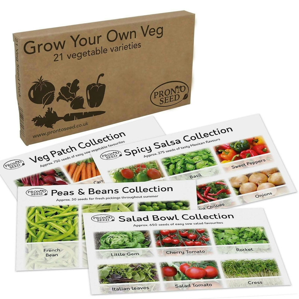 image 1 of Pronto Seed Vegetable Seeds Bumper Pack – 21 Popular Varieties, Over 1,700 Seeds for Growing Your Own Veg