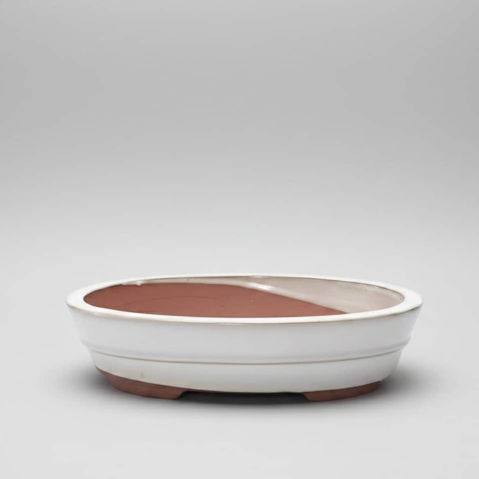 Yorkshire Bonsai 26cm Glazed Bonsai Pot Oval 26cm x 20cm x 6cm White