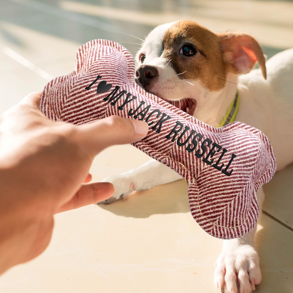 image 1 of History & Heraldry Pre-Personalised Squeaky Bone Dog Toy - Cooper