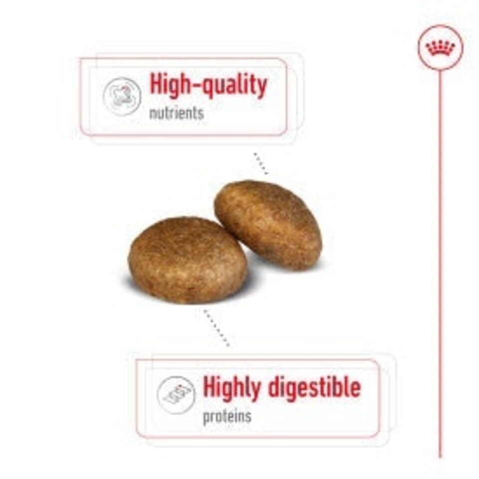 image 1 of Royal Canin Maxi Dry Adult Dog Food 3kg