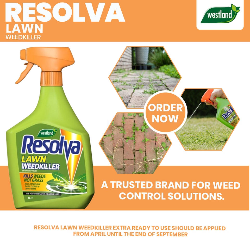 image 1 of Resolva Lawn Weedkiller Extra Ready to Use 1L Broadleaf Weed Control Glyphosate Free | Yellow