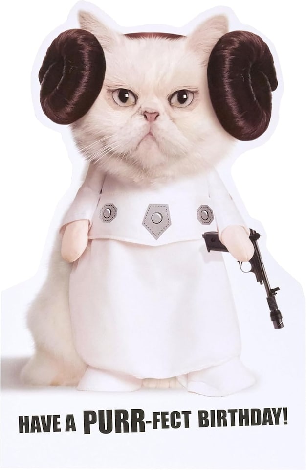 image 1 of Funny Cat Leia Design Disney Star Wars Birthday Card