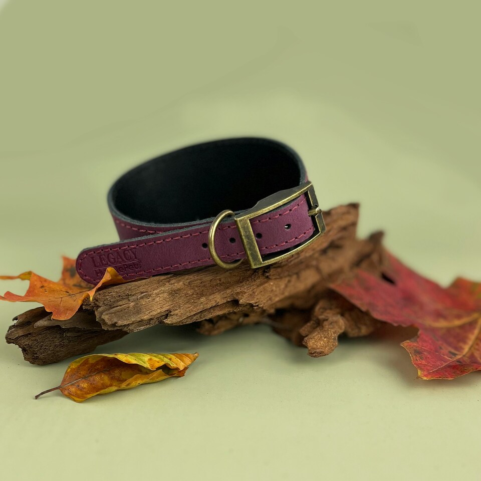 image 1 of HugglePets Legacy Leather Hound Collar - Merlot N/A | M
