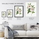 image 3 of Hibiscus Flower Illustration Redoute Vintage Huge Wall Art Print 18X24 In