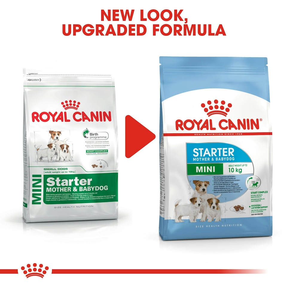 image 1 of ROYAL CANIN® Mini Starter Mother & Babydog Adult and Puppy Dry Food N/A | Size: 1kg