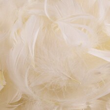 Ivory Eleganza Feathers 50g