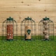 image 8 of Samuel Alexander Pack of 3 Hanging Nut Seed & Fat Ball Bird Feeders with Squirrel Guard