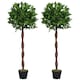 image 1 of Outsunny Artificial Bay Laurel Topiary Trees w Pot Fake, Set Of 2 120cm4FT Indoor Greenery Plant Home Office Garden Decor Green