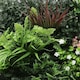 image 4 of True Products Combo Set of 3 Premium Artificial Living Wall Green Plant Panel 1m x 50cm Florence A B C