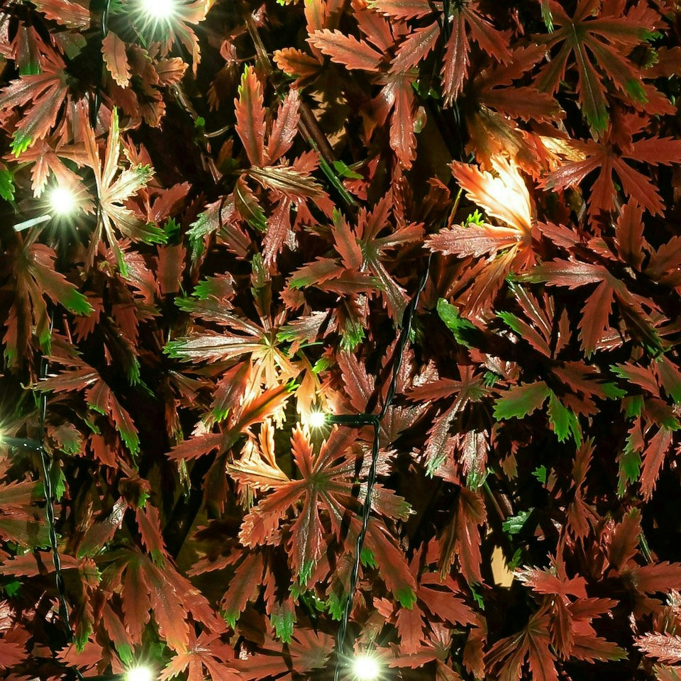 image 1 of Primrose Extendable Artificial Red Acer Screening Trellis with LEDs W2m x H1m