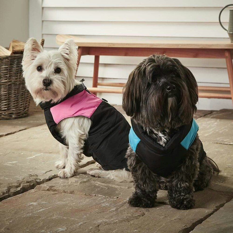 image 1 of Dog Puffer Jacket - Bunty Blue | XL