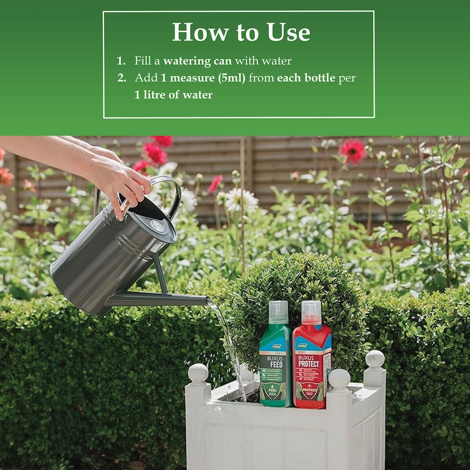 image 1 of Westland Buxus Feed & Protect 2 in 1 - 2 x 500ml | Clear | 1 x Duo Pack | 2