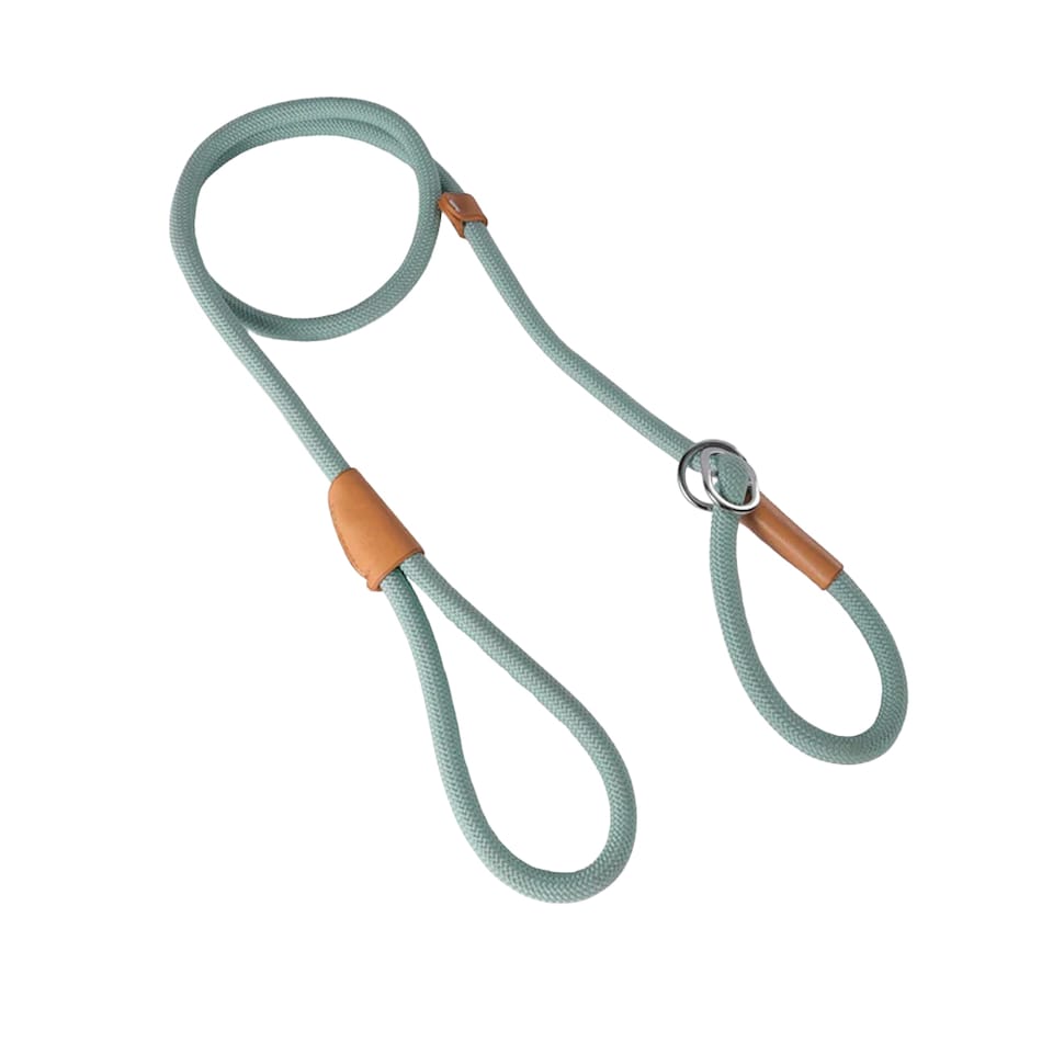 image 1 of M-Pets 2 in 1 Dog Lead | Blue | Blue | 150cm | 1