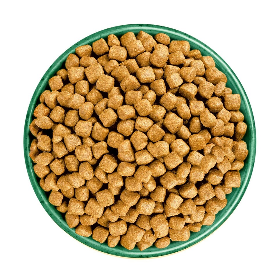 image 1 of James Wellbeloved Oral Health 1-7 Years Adult Dry Cat Food Rich in Turkey 10kg