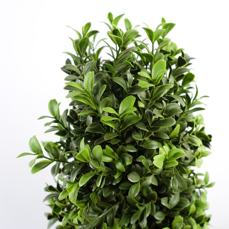 image 1 of 120cm Spiral Buxus Artificial Tree UV Resistant Outdoor | Green | 4ft