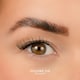 image 2 of House Of Amor - Eyelash Extensions - Volume 6 - Pre Mapped Multipack -