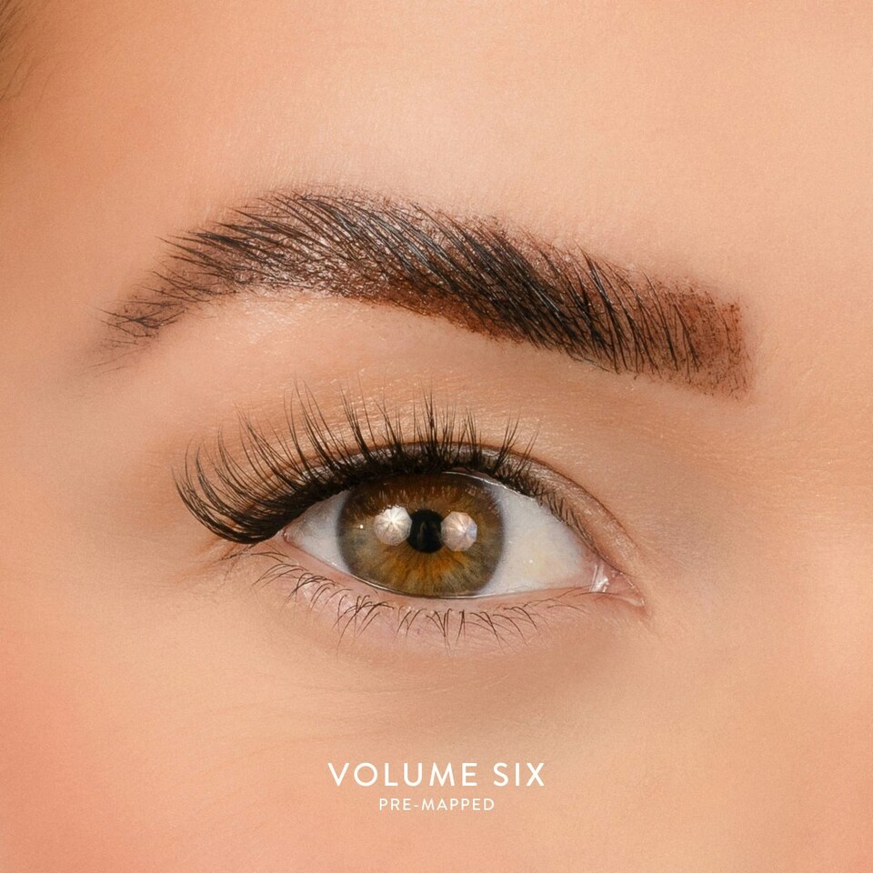 image 1 of House Of Amor - Eyelash Extensions - Volume 6 - Pre Mapped Multipack -