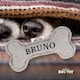 image 2 of History & Heraldry Pre-Personalised Squeaky Bone Dog Toy - Bruno