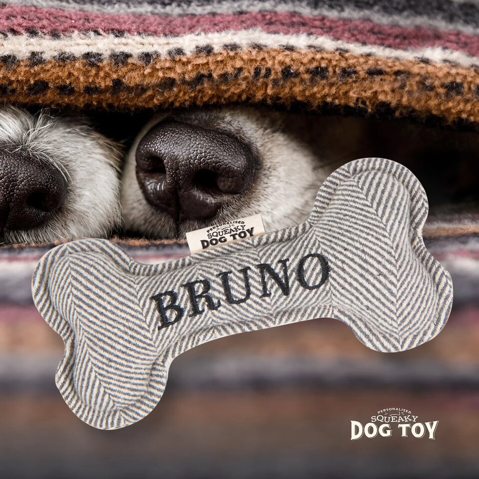 image 1 of History & Heraldry Pre-Personalised Squeaky Bone Dog Toy - Bruno