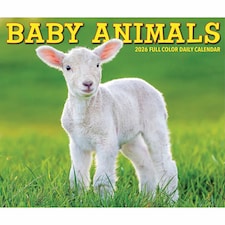 Baby Animals Desk Calendar 2026, Desk Calendars, Day To View, Animals, Gift