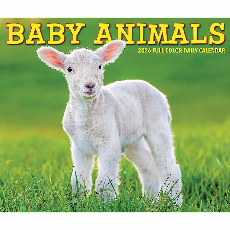 image 1 of Baby Animals Desk Calendar 2026, Desk Calendars, Day To View, Animals, Gift