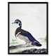 image 1 of Wood Duck Vintage Bird Oil Painting Schouman Framed Wall Art Print 12X16"